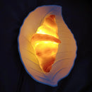 Croissant Bread Lamp Decorative Bakery Lamp Atmosphere Lighting for Cake Shop