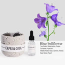 Crystal Stone Oil Diffuser Passive Aromatherapy Set White Natural Bedroom Decor - Blue Bellflower