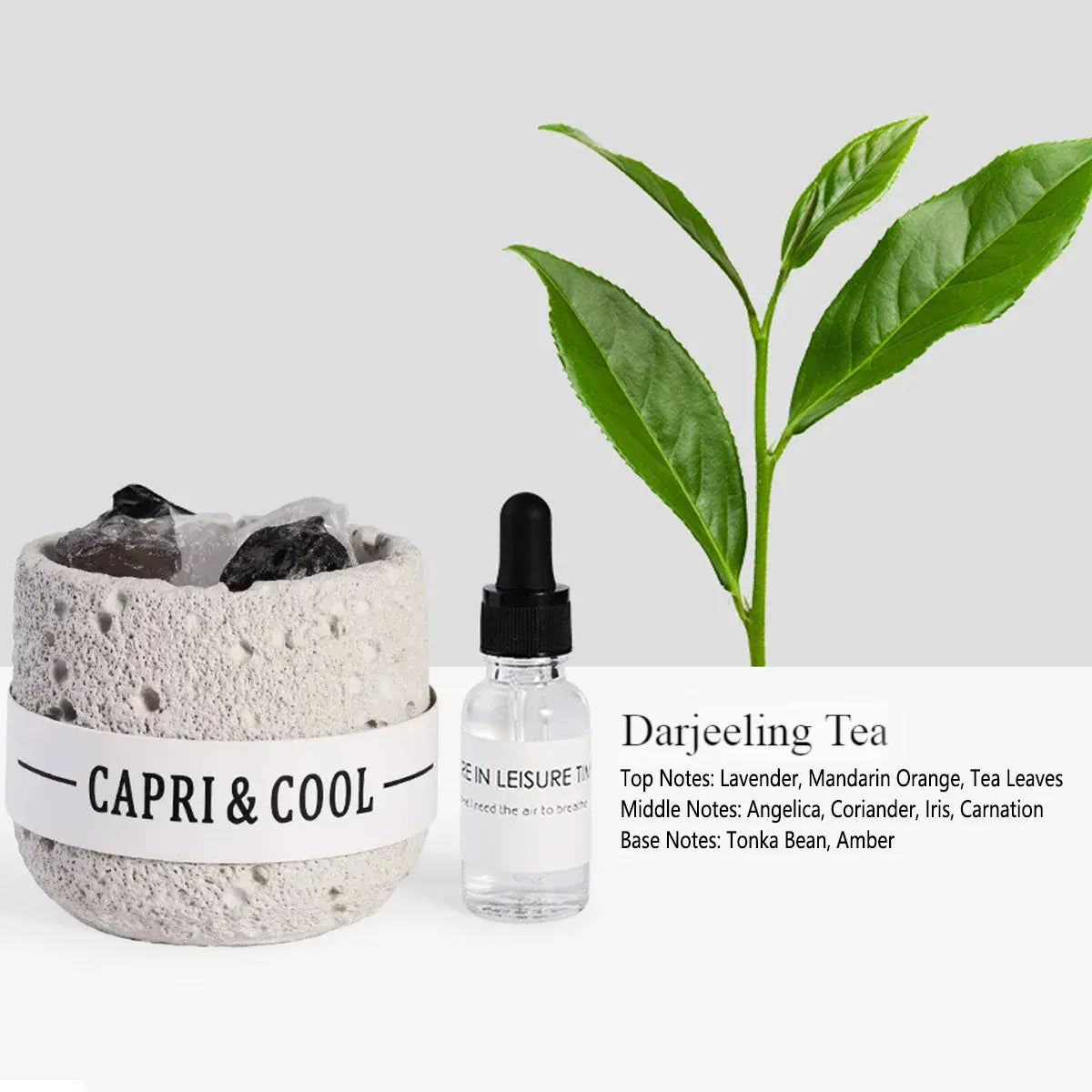 Crystal Stone Oil Diffuser Passive Aromatherapy Set White Natural Bedroom Decor - Blue Bellflower