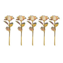5PCS Luminous Rose Unique Gifts For Women Galaxy Crystal Flower Gift For Women