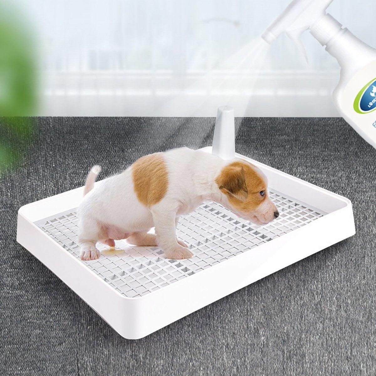750ml Pet Odor Eliminator Spray for Dogs and Cats Indoor Cat Litter Freshener