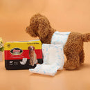 Male Dog Diapers Physiological Pants for Dogs Leakproof Diaper Pants Male Pets - M-10PCS
