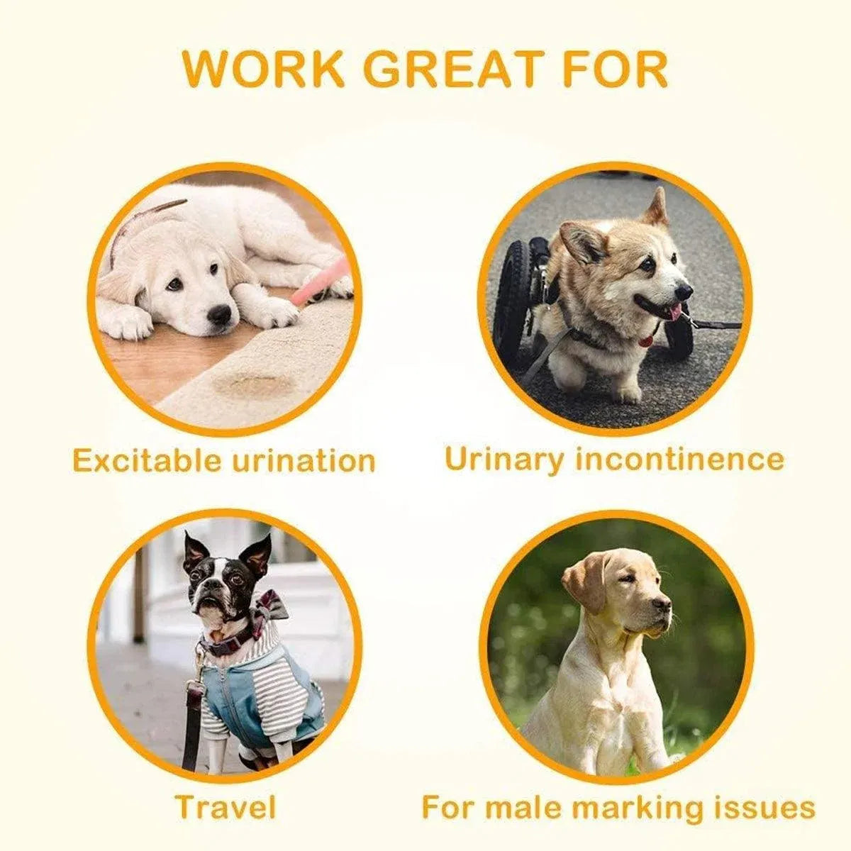 Male Dog Diapers Physiological Pants for Dogs Leakproof Diaper Pants Male Pets - S-12PCS