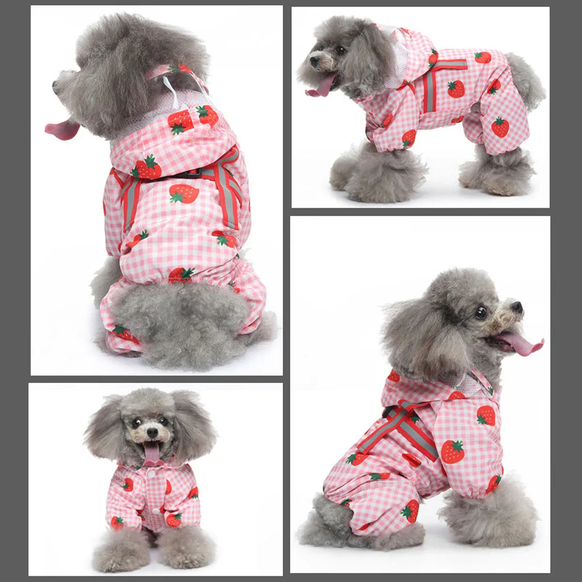 Strawberry Checkered Cat Raincoat Outdoor Rainy Days Dog Raincoat Fashionable - M