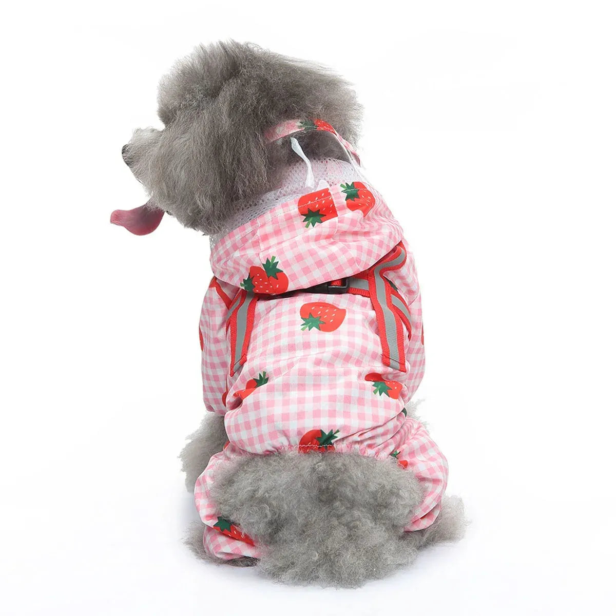 Strawberry Checkered Cat Raincoat Outdoor Rainy Days Dog Raincoat Fashionable - M