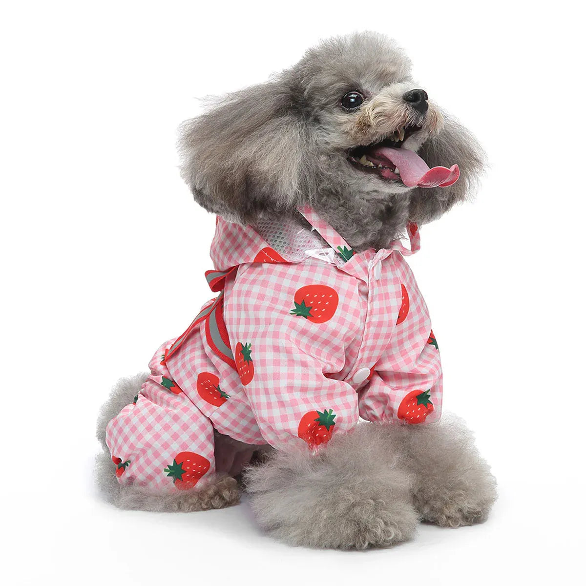 Strawberry Checkered Cat Raincoat Outdoor Rainy Days Dog Raincoat Fashionable - S