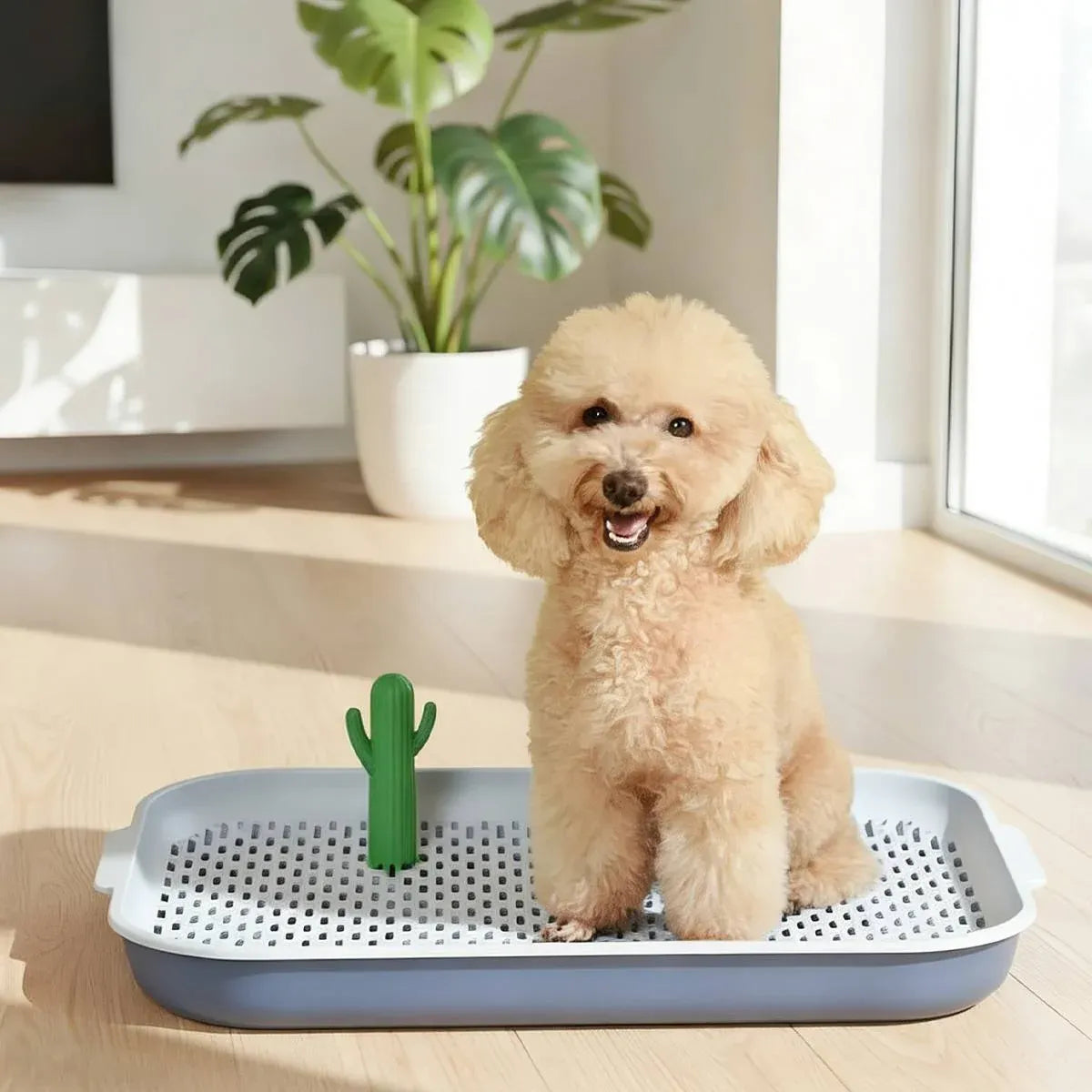 Large Dog Potty Tray With High Sides Small Medium Puppy Pee Pad Holder Toilet