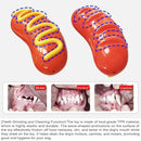 Dog Chew Toy Baked Sausage Ham Squeaky Pet Toy Bite Resistant Grinding Bar