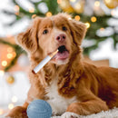 Interactive Giggle Dog Toys for Small and Large Dogs Fun Durable Pet Chew Toys