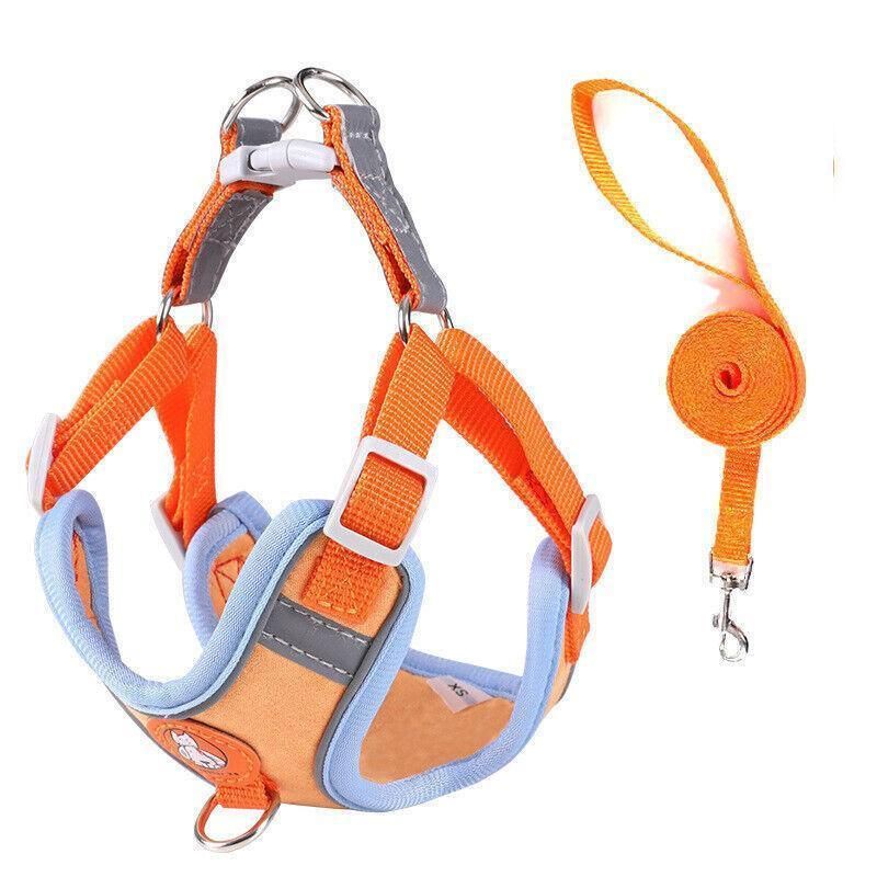 Dog Harness Cat Lead Puppy Leash Vest Mesh Breathe Adjustable Braces Small Pet Orange - M