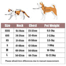 Dog Harness Cat Lead Puppy Leash Vest Mesh Breathe Adjustable Braces Small Pet Orange - M