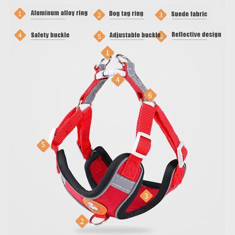 Dog Harness Cat Lead Puppy Leash Vest Mesh Breathe Adjustable Braces Small Pet Orange - M