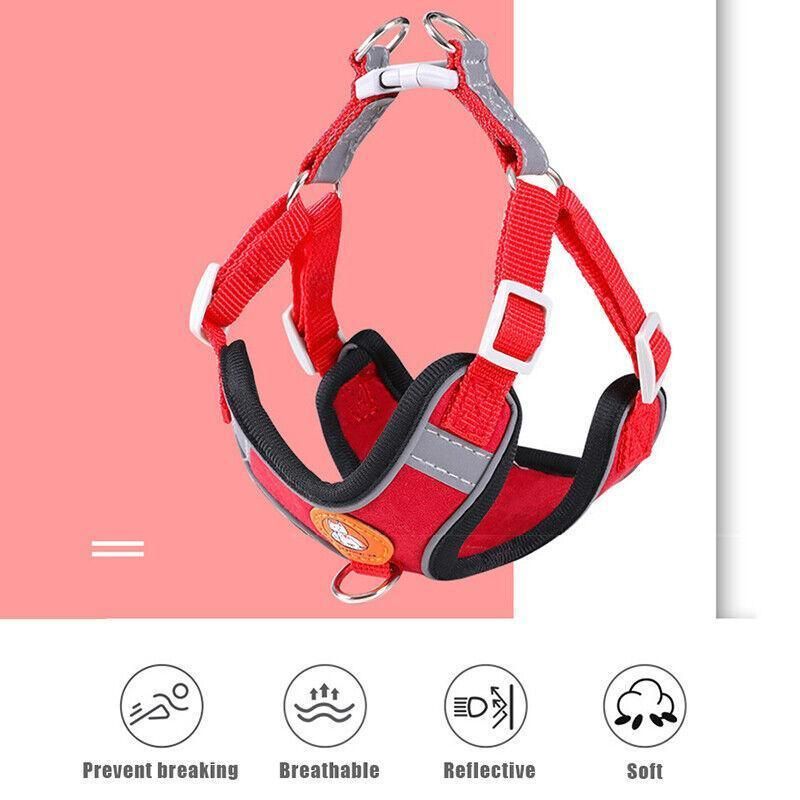 Dog Harness Cat Lead Puppy Leash Vest Mesh Breathe Adjustable Braces Small Pet Orange - M