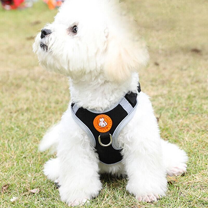 Dog Harness Cat Lead Puppy Leash Vest Mesh Breathe Adjustable Braces Small Pet Orange - M