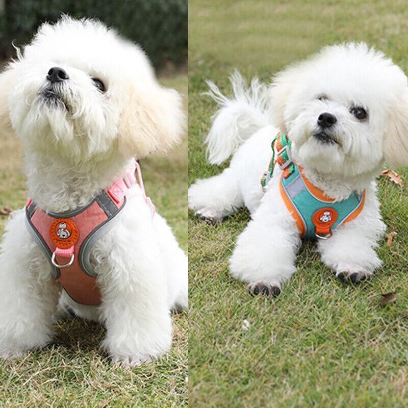 Dog Harness Cat Lead Puppy Leash Vest Mesh Breathe Adjustable Braces Small Pet Orange - S