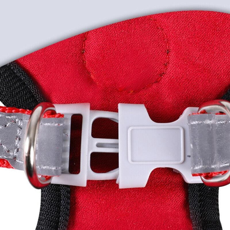 Dog Harness Cat Lead Puppy Leash Vest Mesh Breathe Adjustable Braces Small Pet Orange - S