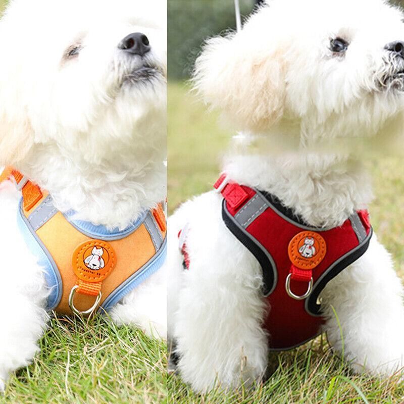 Dog Harness Cat Lead Puppy Leash Vest Mesh Breathe Adjustable Braces Small Pet Orange - S