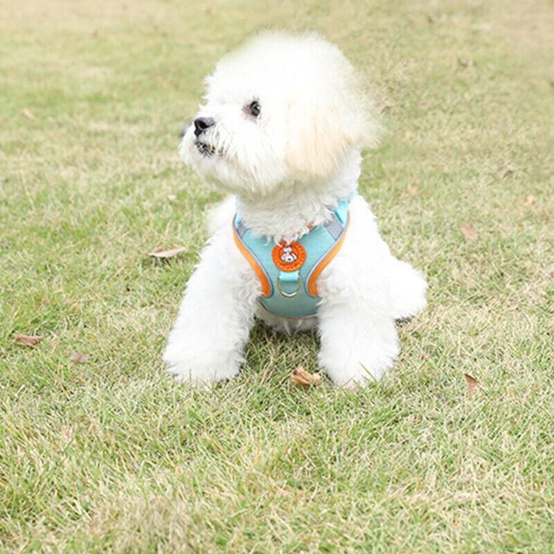 Dog Harness Cat Lead Puppy Leash Vest Mesh Breathe Adjustable Braces Small Pet Orange - S