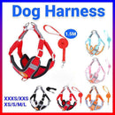 Dog Harness Cat Lead Puppy Leash Vest Mesh Breathe Adjustable Braces Small Pet Orange - XXXS