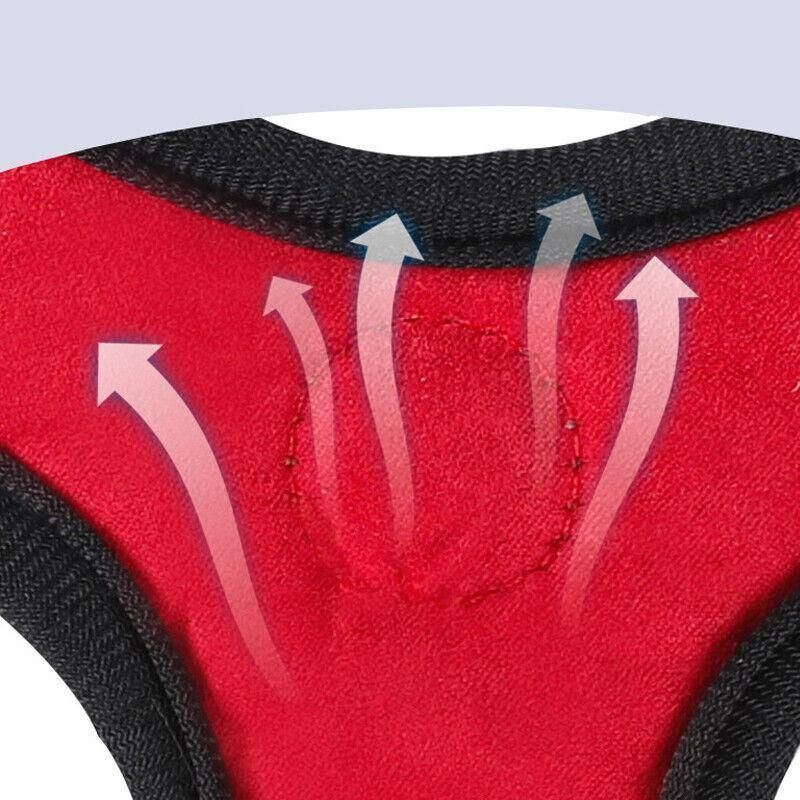 Dog Harness Cat Lead Puppy Leash Vest Mesh Breathe Adjustable Braces Small Pet Orange - XXXS