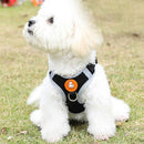 Dog Harness Cat Lead Puppy Leash Vest Mesh Breathe Adjustable Braces Small Pet Orange - XXXS