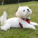 Dog Harness Cat Lead Puppy Leash Vest Mesh Breathe Adjustable Braces Small Pet Orange - XS