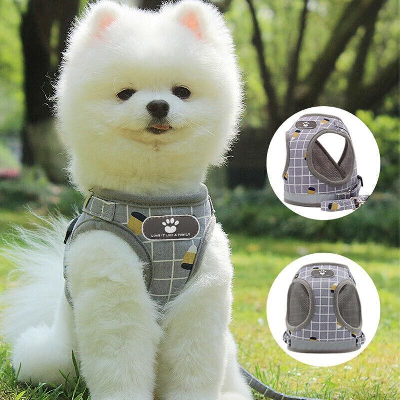 Grey Kitten Dog Cat Walking Harness Lead Leash Collar Pet Vest Mesh Adjustable - M