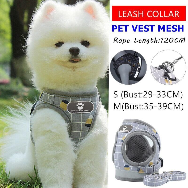 Grey Kitten Dog Cat Walking Harness Lead Leash Collar Pet Vest Mesh Adjustable - S