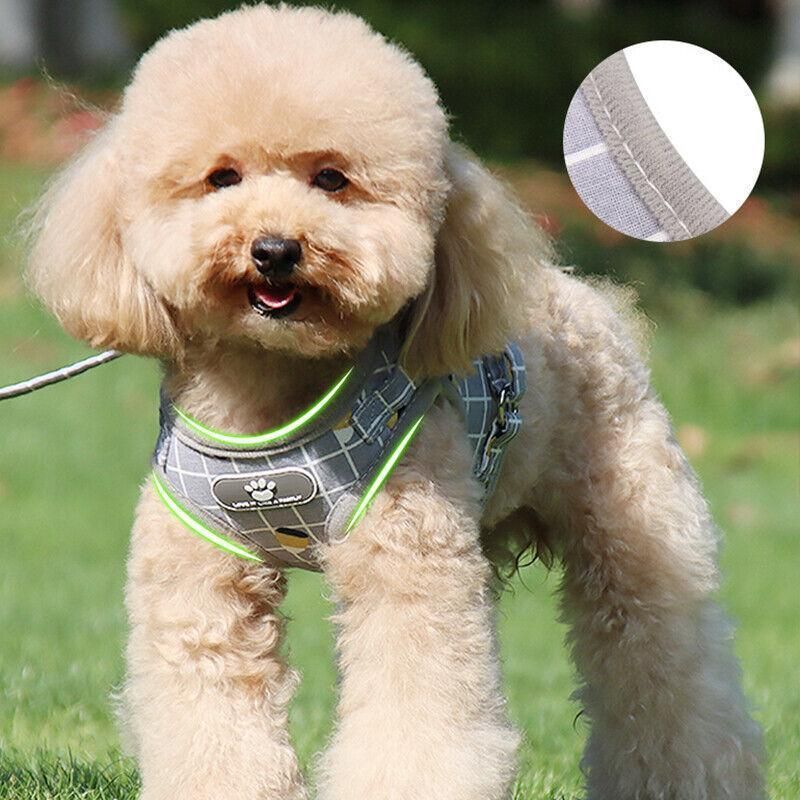 Grey Kitten Dog Cat Walking Harness Lead Leash Collar Pet Vest Mesh Adjustable - S