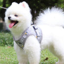 Grey Kitten Dog Cat Walking Harness Lead Leash Collar Pet Vest Mesh Adjustable - S