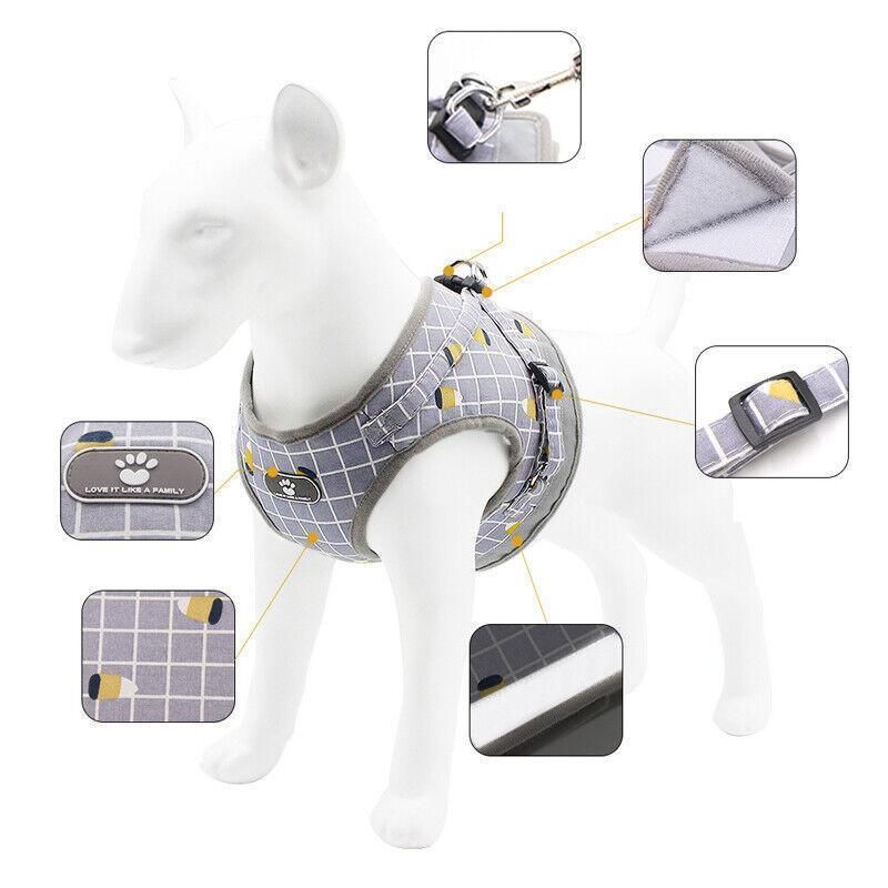 Grey Kitten Dog Cat Walking Harness Lead Leash Collar Pet Vest Mesh Adjustable - S