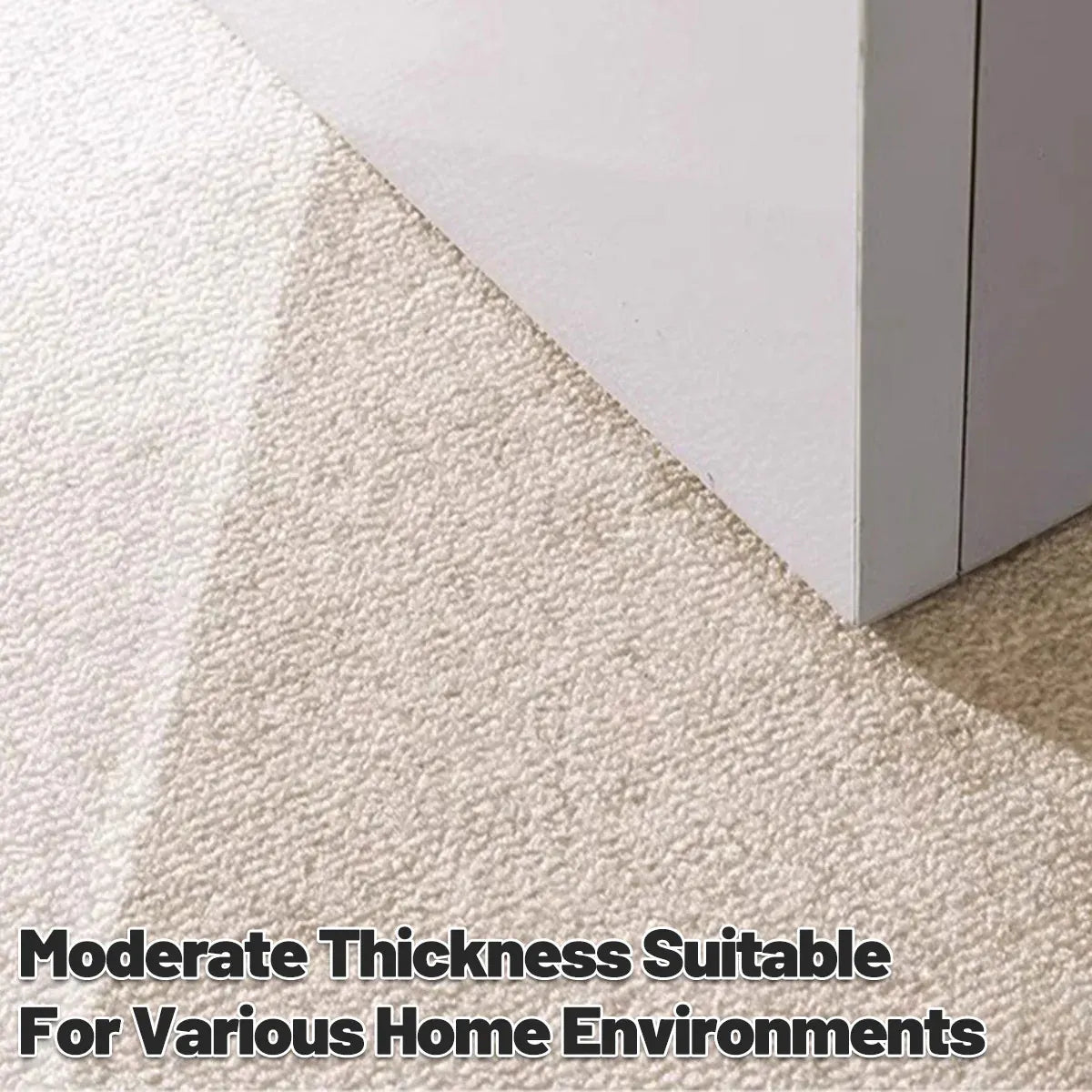 Premium Non Slip Front Door Mat Indoor Outdoor Entrance Rug Durable Dust Proof - 50x80cm