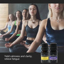 Essential Oil Set 6 Bottles Plant Aromatherapy Oils Natural Scent for Diffuser