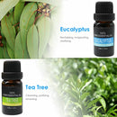 Essential Oil Set 6 Bottles Plant Aromatherapy Oils Natural Scent for Diffuser