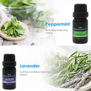 Essential Oil Set 6 Bottles Plant Aromatherapy Oils Natural Scent for Diffuser