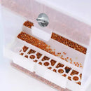 1 pc Automatic Bird Feeder Bird Feeder Cage Accessories Automatic Feed Cage - 520g