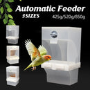 1 pc Automatic Bird Feeder Bird Feeder Cage Accessories Automatic Feed Cage - 850g