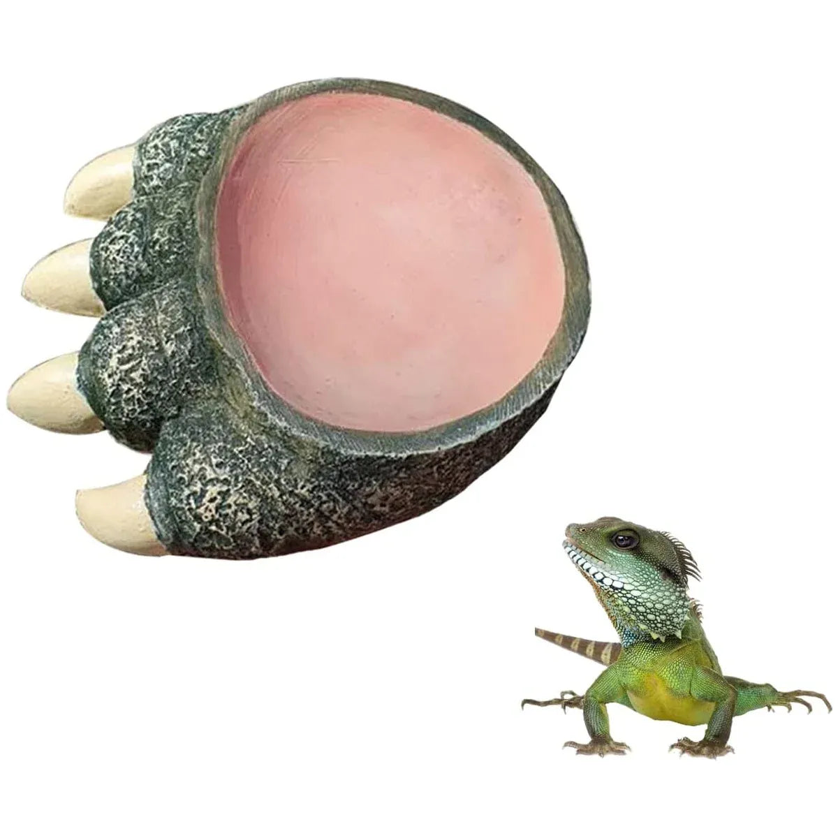 Lizard Claw Shaped Pet Food Water Bowl Durable Resin Non Slip
