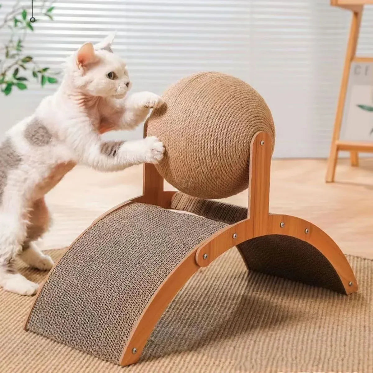 Ferris Wheel Cat Toy Standing Cat Grab Ball Scratch Board Kitten Interactive
