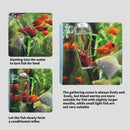 Acrylic Fish Feeder Clear Durable for Aquarium Fish Tank Feeding