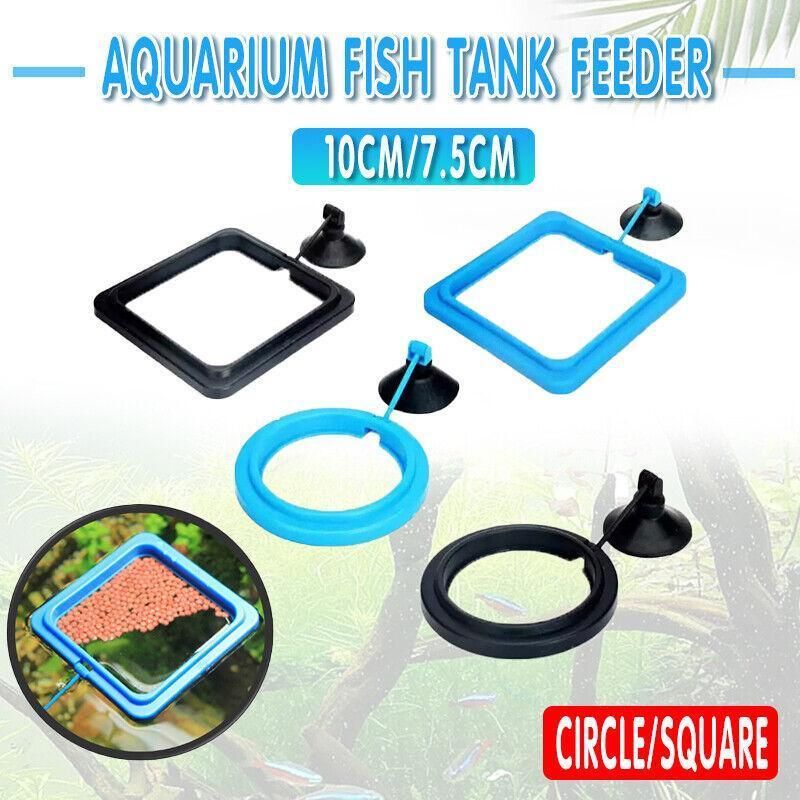 Fish Feeding Ring Aquarium Fish Tank Feeder Floating Fish Food Feeder Fish Food Blue - Blue Circle
