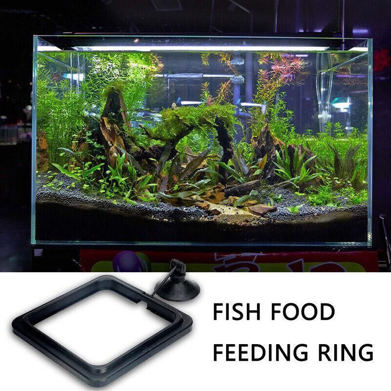 Fish Feeding Ring Aquarium Fish Tank Feeder Floating Fish Food Feeder Fish Food Blue - Blue Circle
