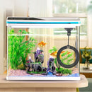 Fish Feeding Ring Aquarium Fish Tank Feeder Floating Fish Food Feeder Fish Food Blue - Blue Circle