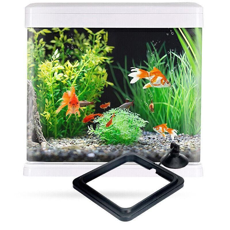 Fish Feeding Ring Aquarium Fish Tank Feeder Floating Fish Food Feeder Fish Food Blue - Blue Circle