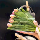 10pcs Transparent Flower Handbags Clear PET Bouquet Holder Gift Bags for Events - Square