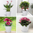 6PCS Simple Plastic Round Plant Pots Vertical Stripes Flower Pot Green Gardening - Green