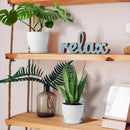 6PCS Simple Plastic Round Plant Pots Vertical Stripes Flower Pot Green Gardening - White