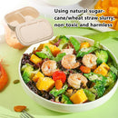 50PCS Disposable Two-Compartment Light Meal Salad Box with Lids Leakproof - 700ml
