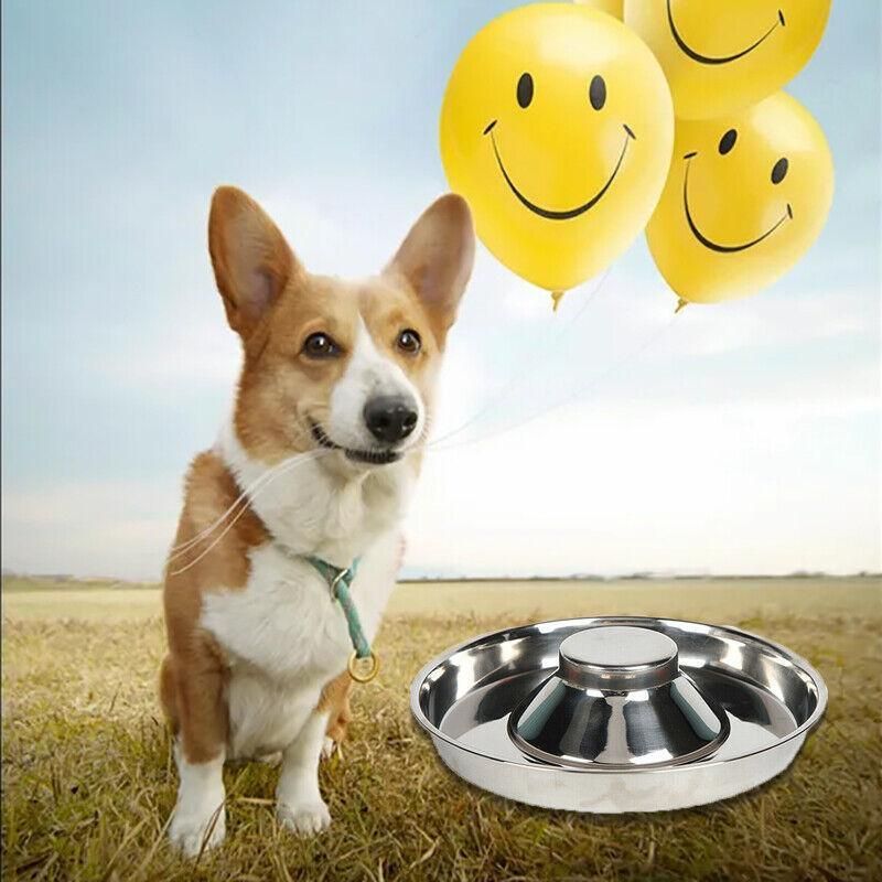 Stainless Steel Pet Bowl Slow Feeder Dish Puppy Dog Cat Food Feeding Weaning Bowl - L