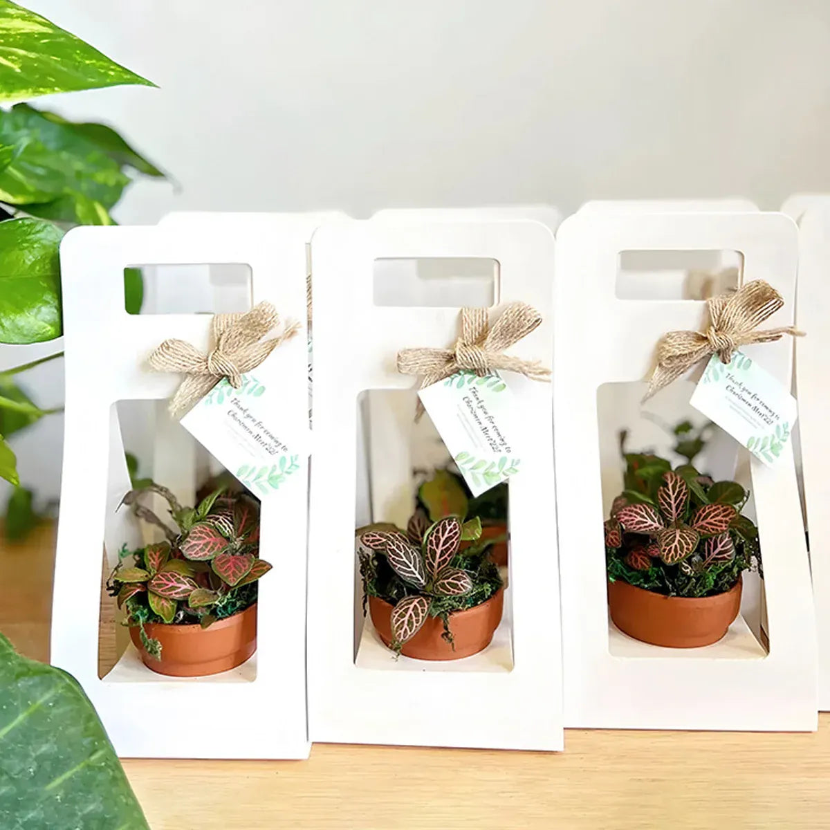 30PCS Flower Gift Packaging Boxes with Handle Durable Birthday Wedding Favors - Kraft